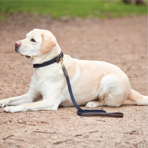 Weatherbeeta Leather Plaited Dog Collar - Brown / Navy
